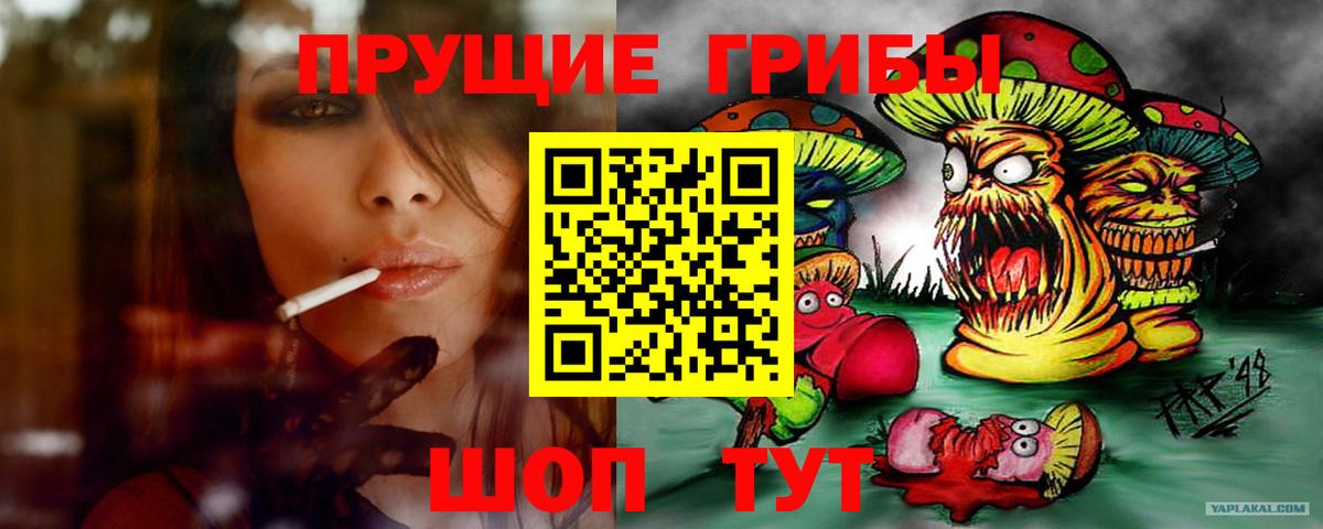 Псилоцибиновые грибы Cubensis  Вход с VPN  Ижевск 