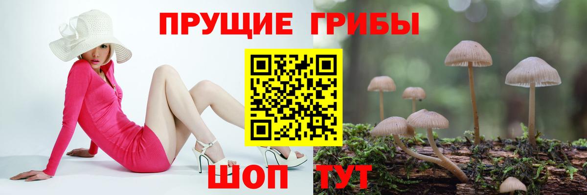 Псилоцибиновые грибы Cubensis Ижевск